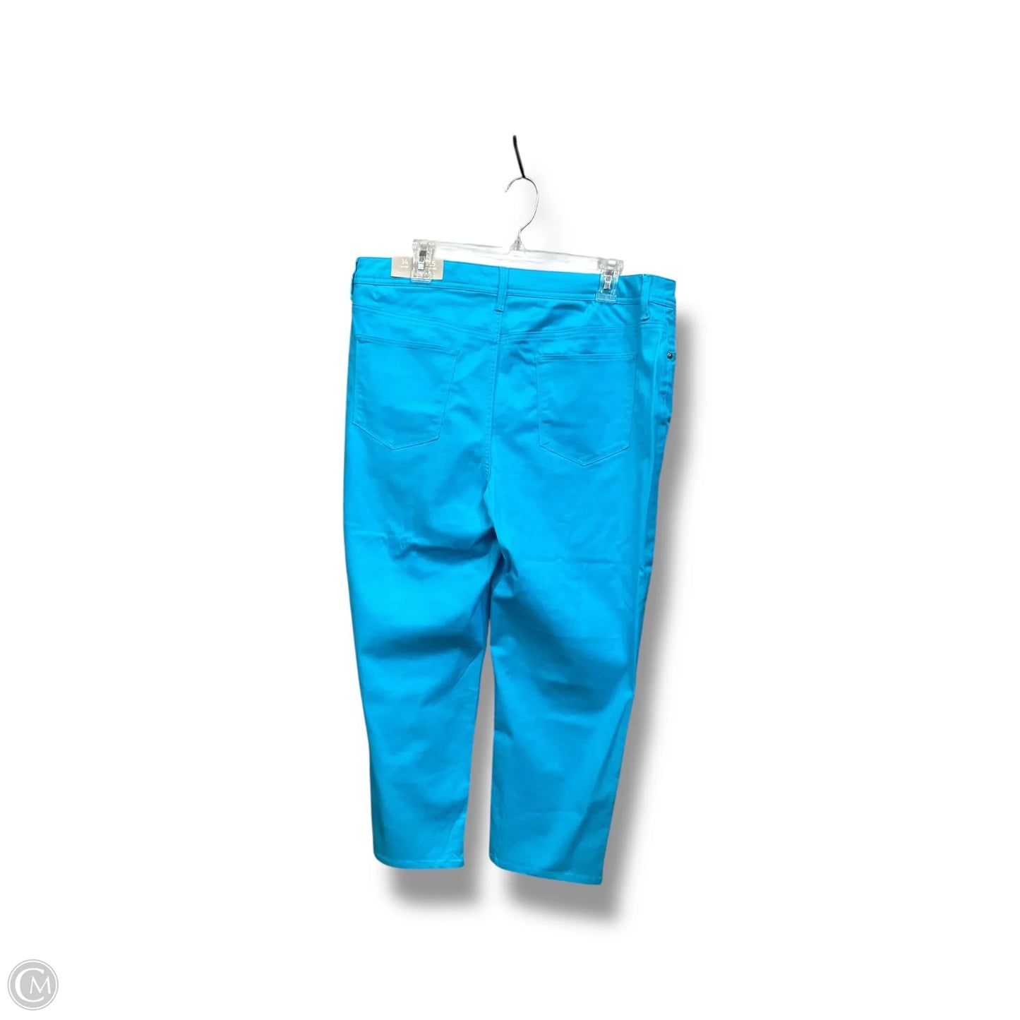 Pants Other By Chicos In Blue, Size: 14