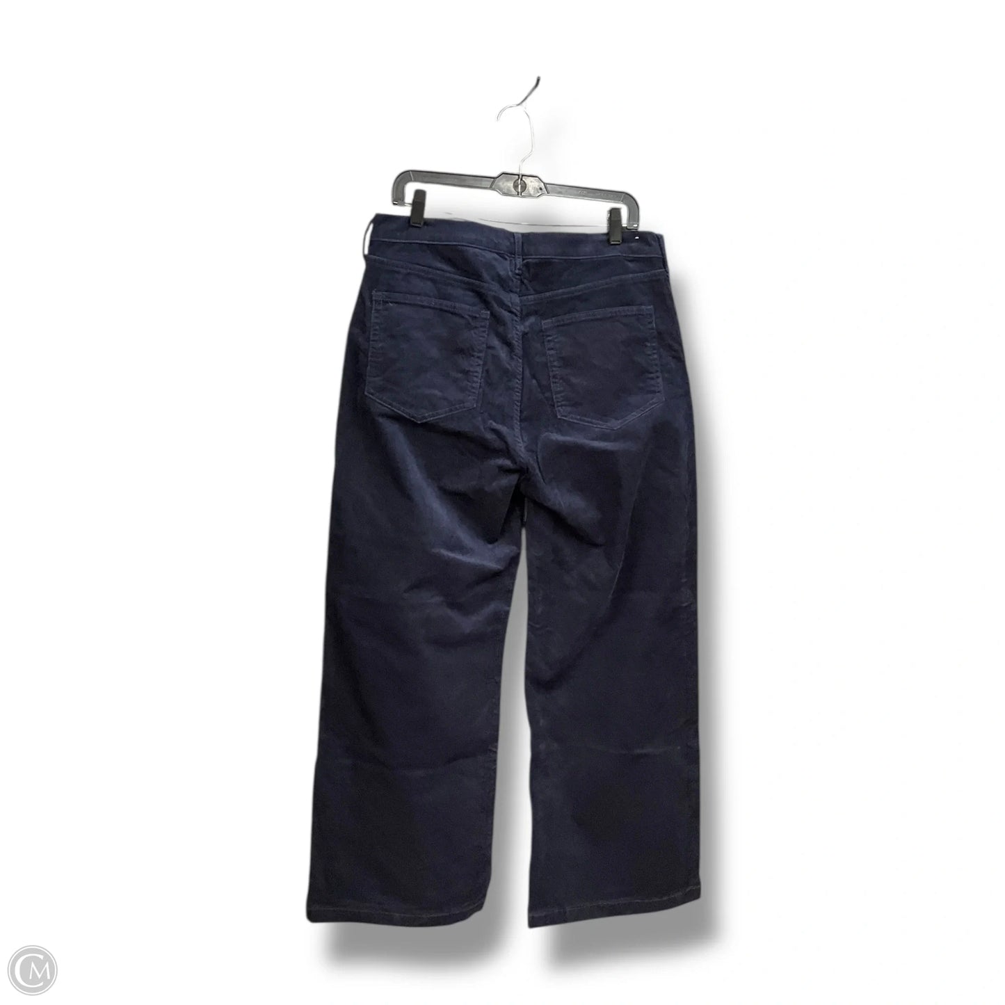 Pants Other By Gap In Navy, Size: 14