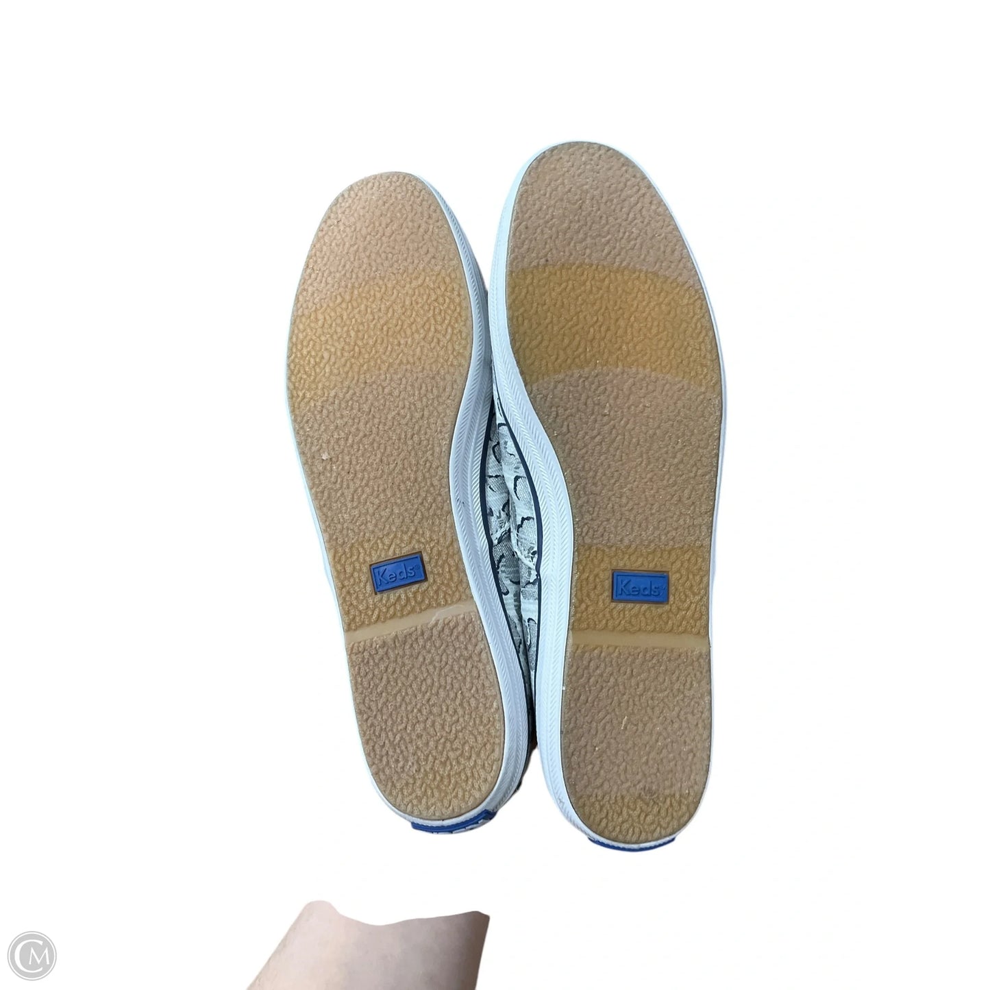 Shoes Sneakers By Keds In Animal Print, Size: 8.5