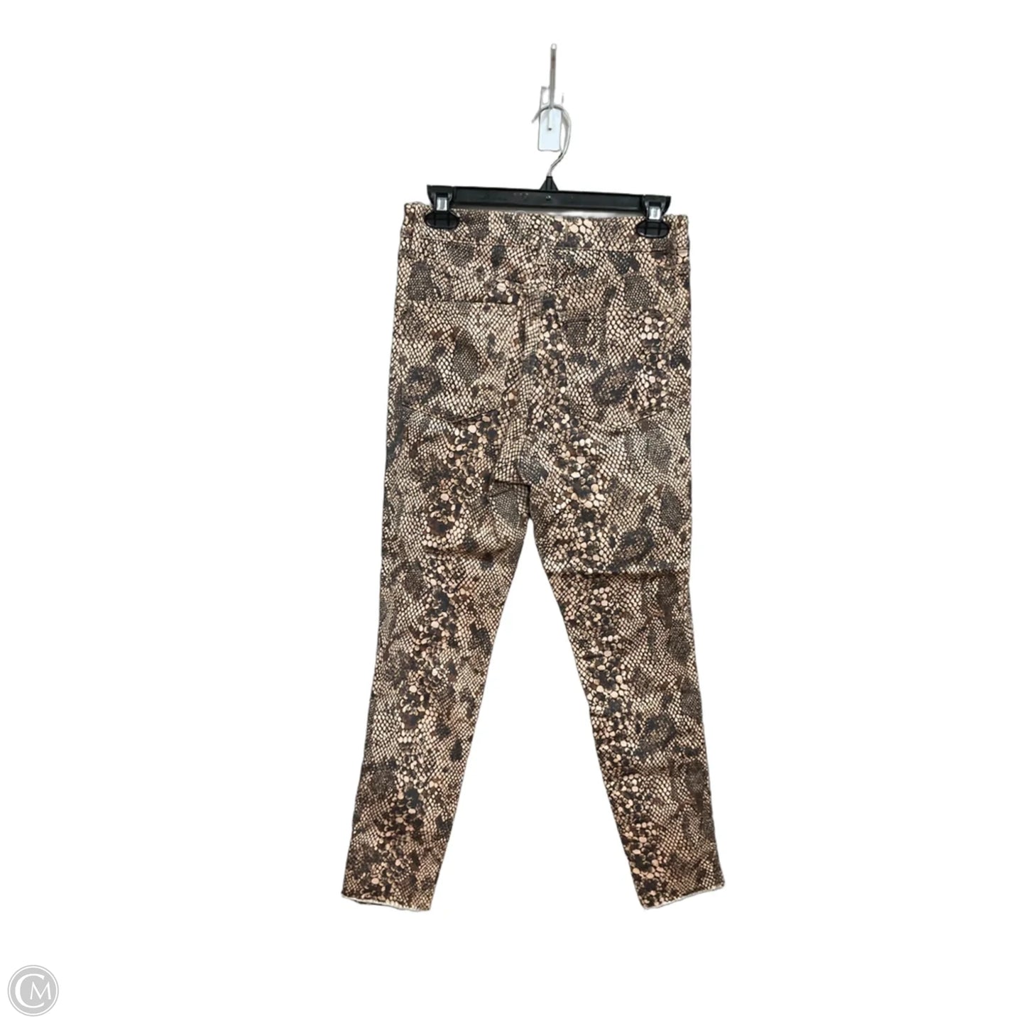 Pants Other By We The Free In Animal Print, Size: 8
