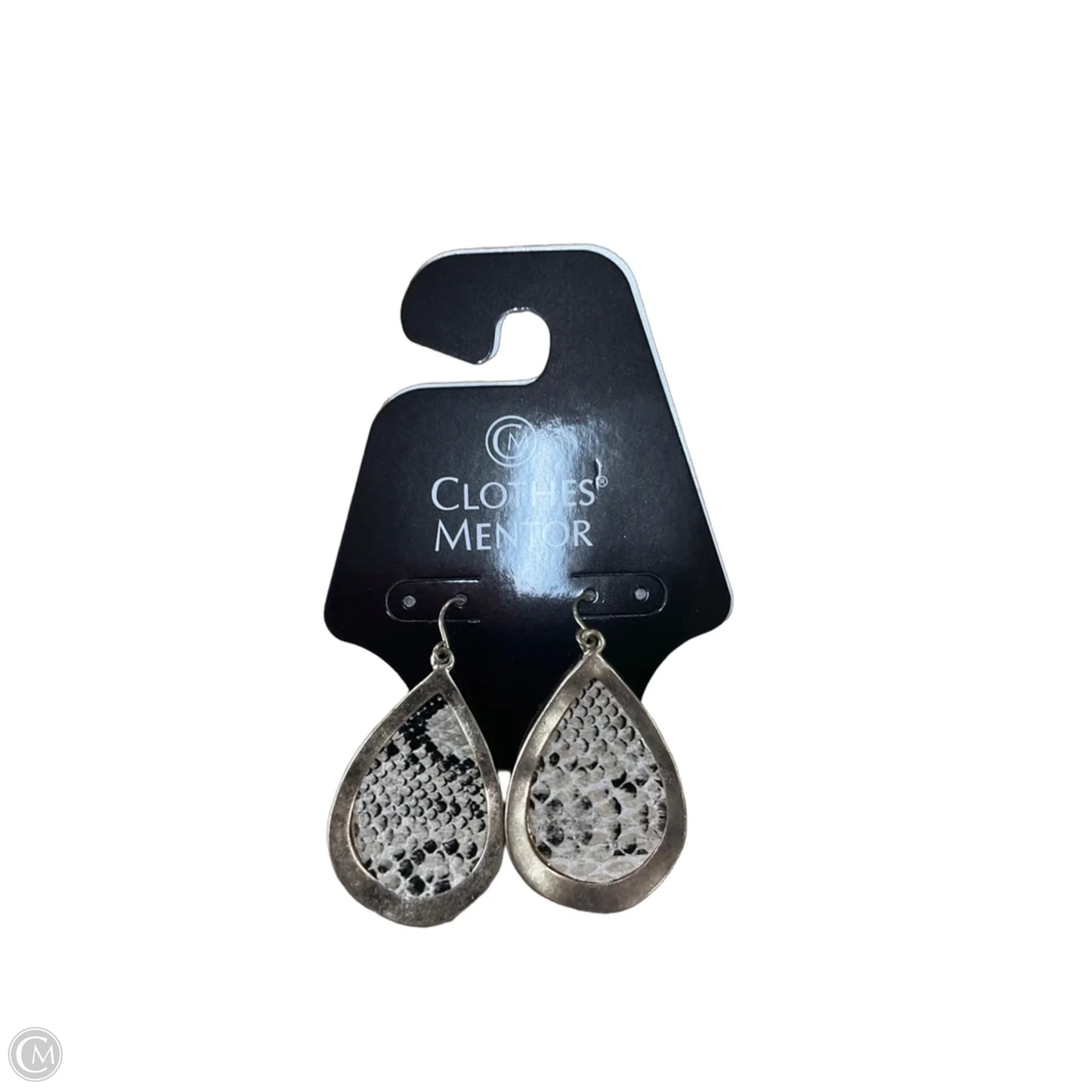Earrings Dangle/drop By Clothes Mentor