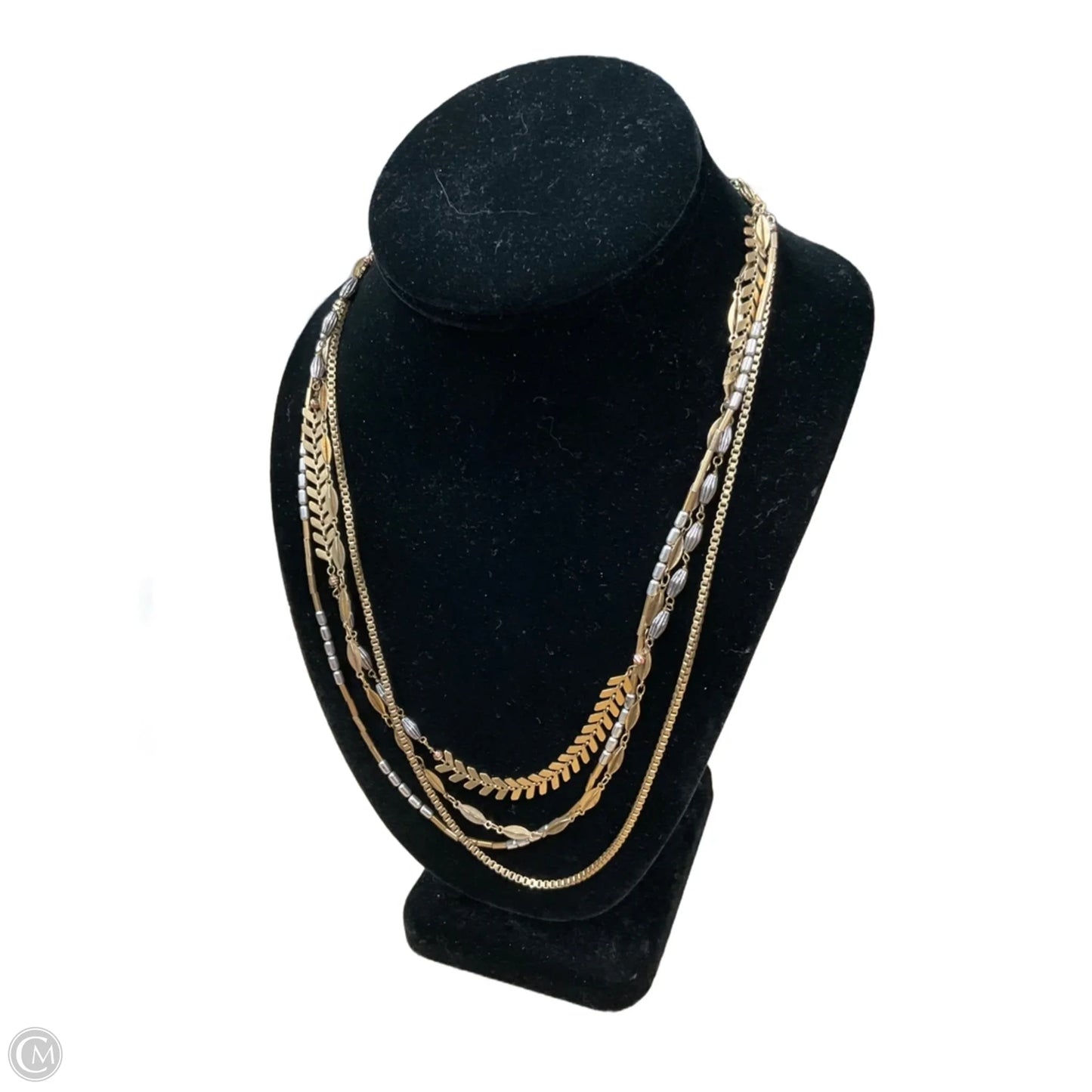 Necklace Layered By Clothes Mentor