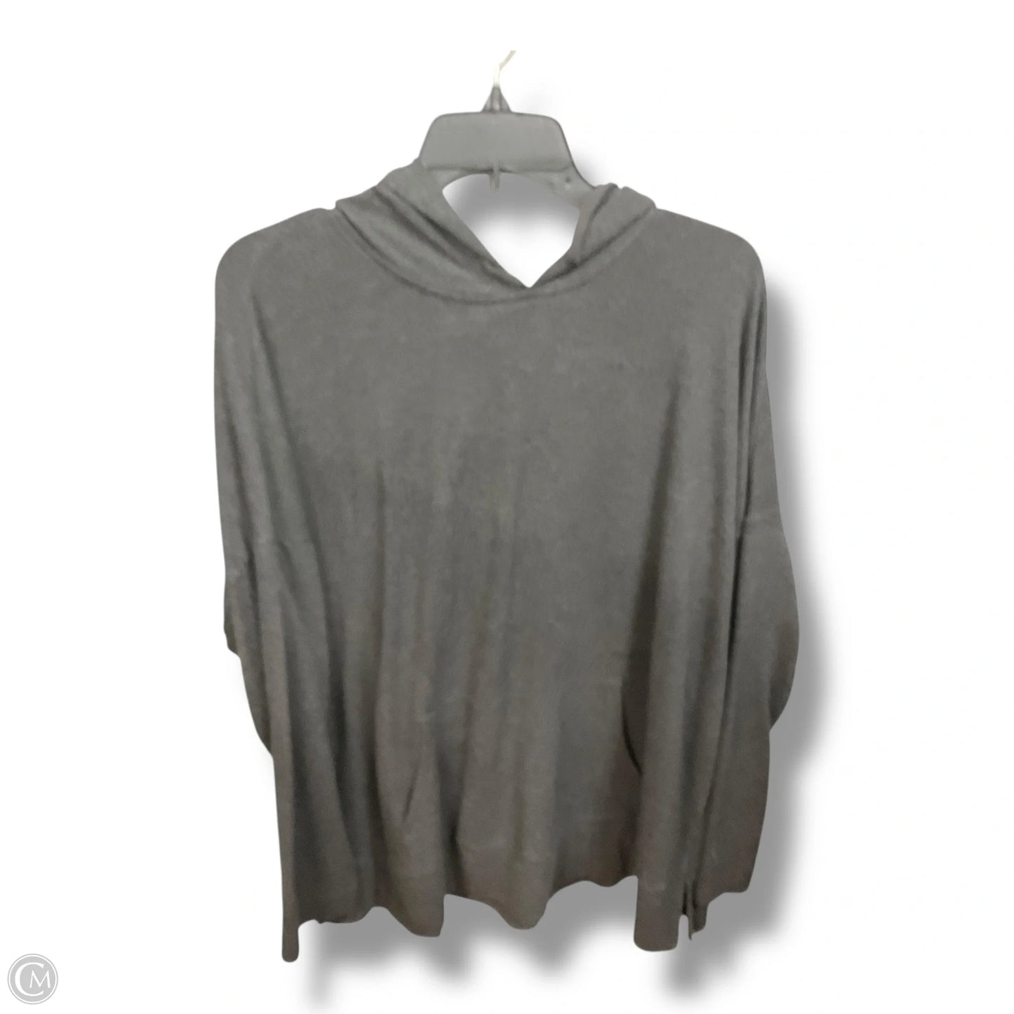 Sweatshirt Hoodie By J. Jill In Grey, Size: Xl