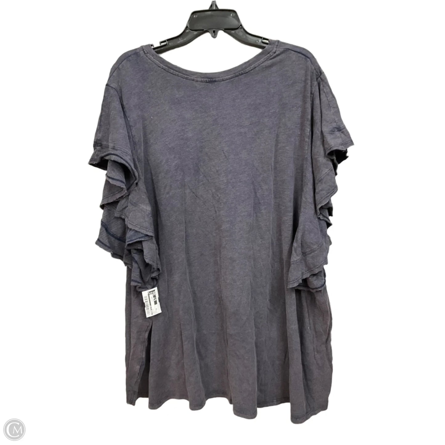 Top Short Sleeve By Terra & Sky In Grey, Size: 4x