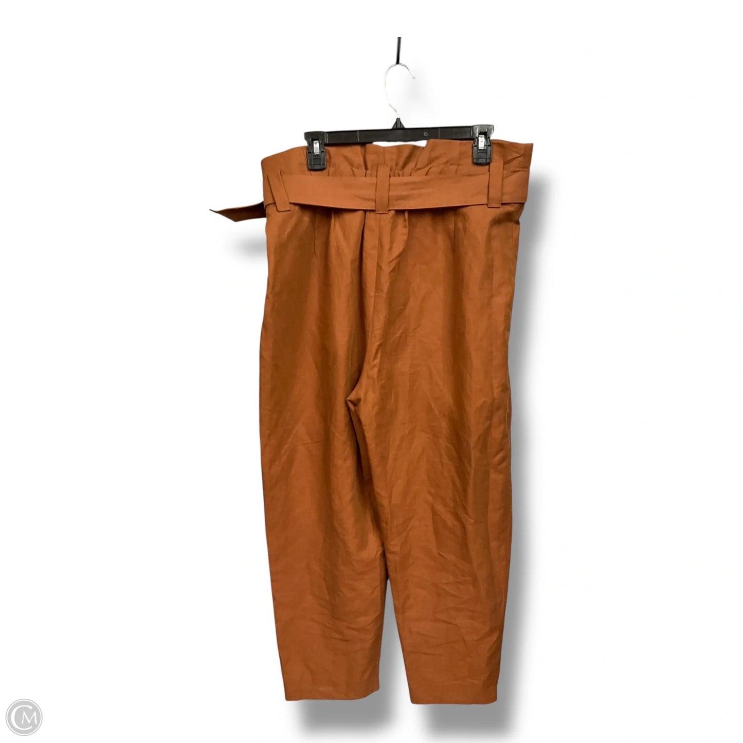 Pants Other By Zara In Brown, Size: 16