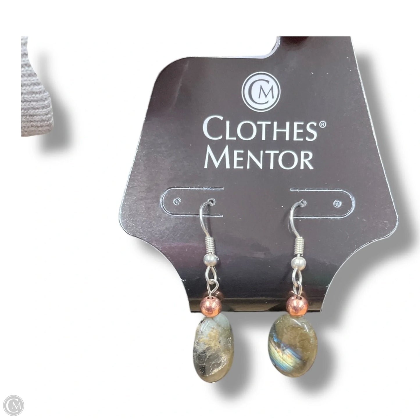 Earrings Dangle/drop By Clothes Mentor