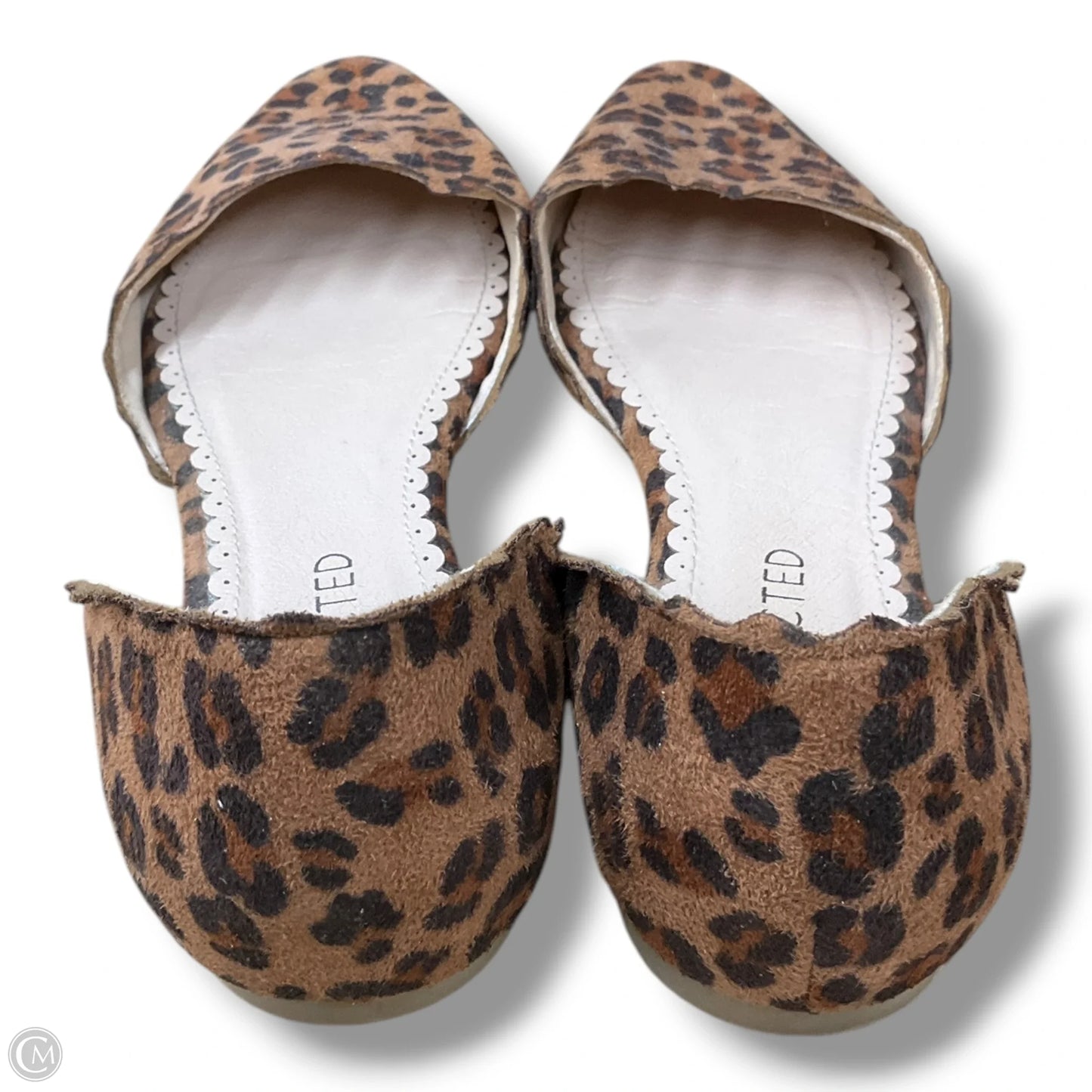 Shoes Flats By Restricted In Animal Print, Size: 8.5