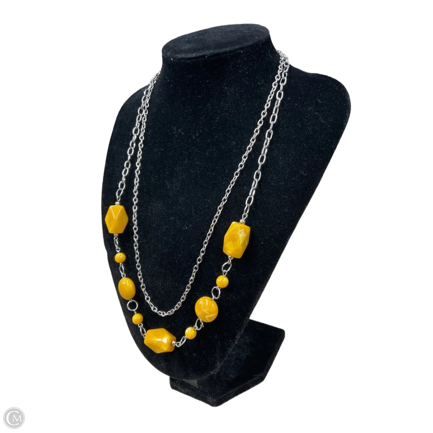 Necklace Layered By Clothes Mentor