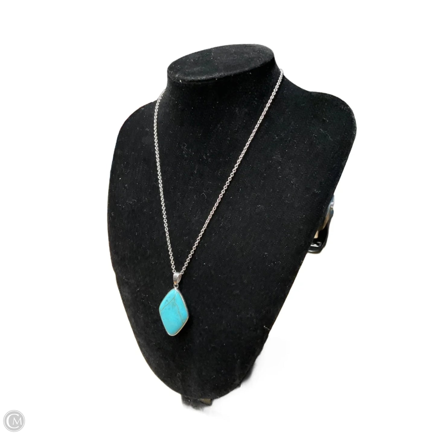 Necklace Pendant By Clothes Mentor