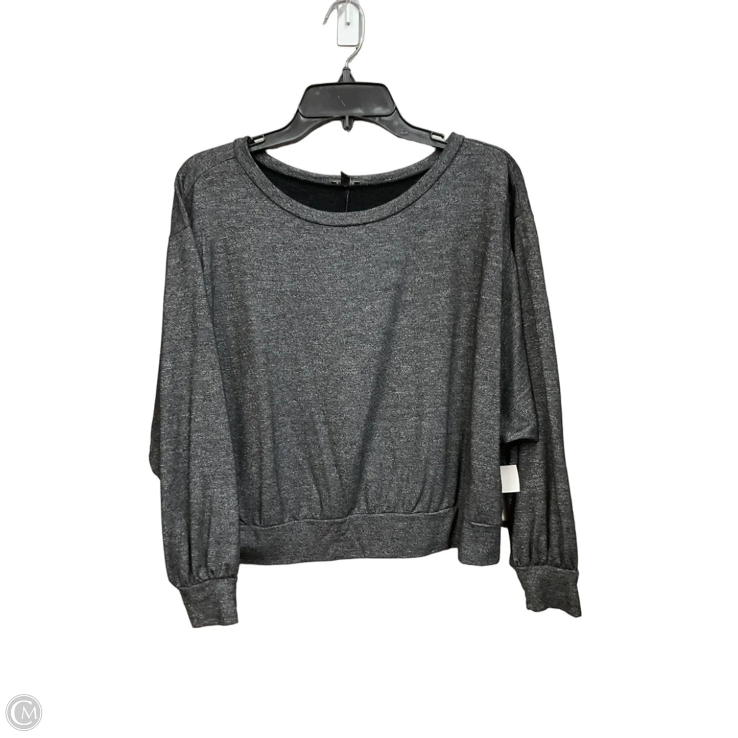 Top Long Sleeve By Express In Grey, Size: S