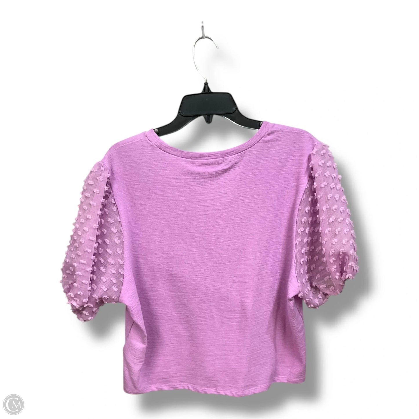 Top Short Sleeve By Clothes Mentor In Purple, Size: Xl
