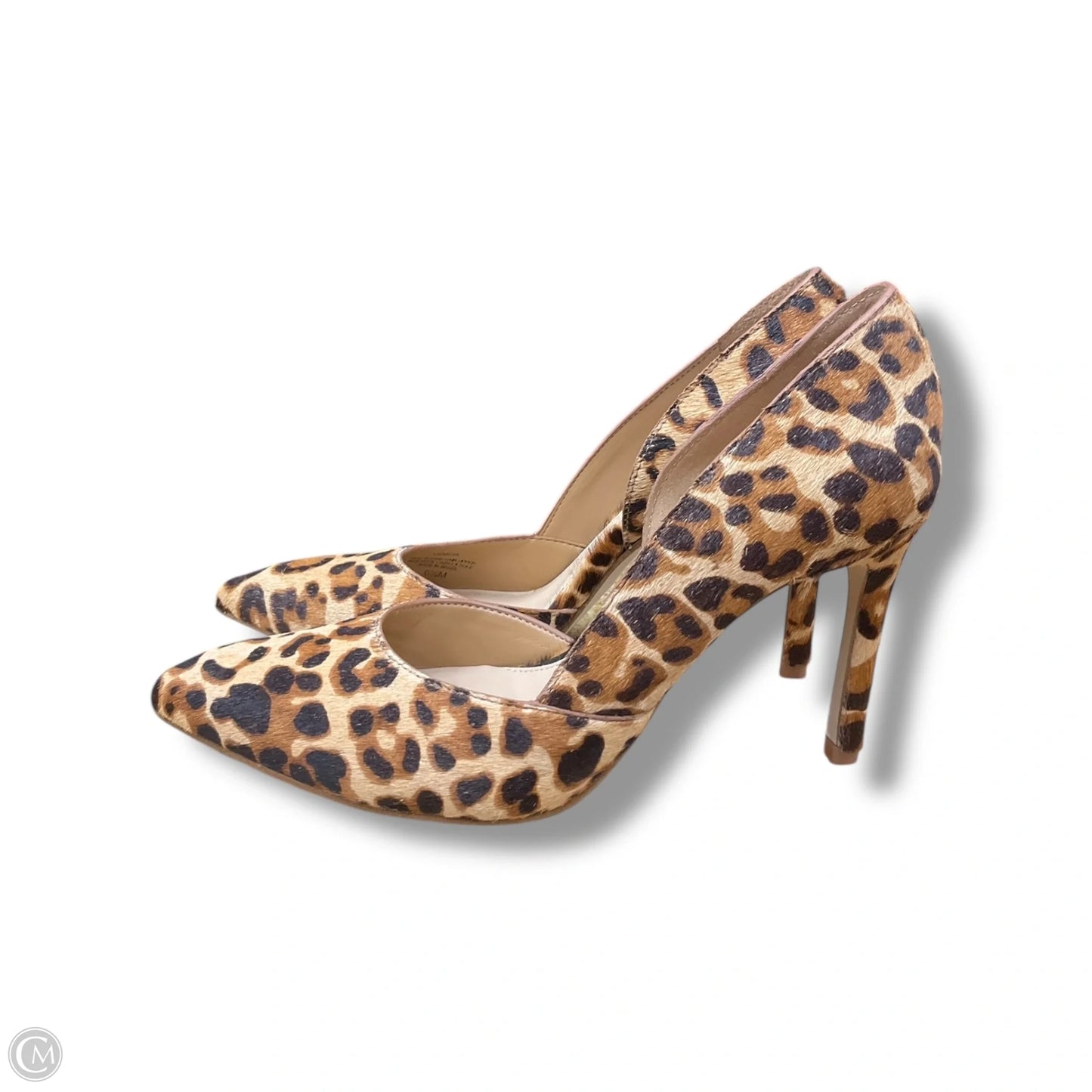 Shoes Heels Stiletto By Gianni Bini In Animal Print, Size: 6.5