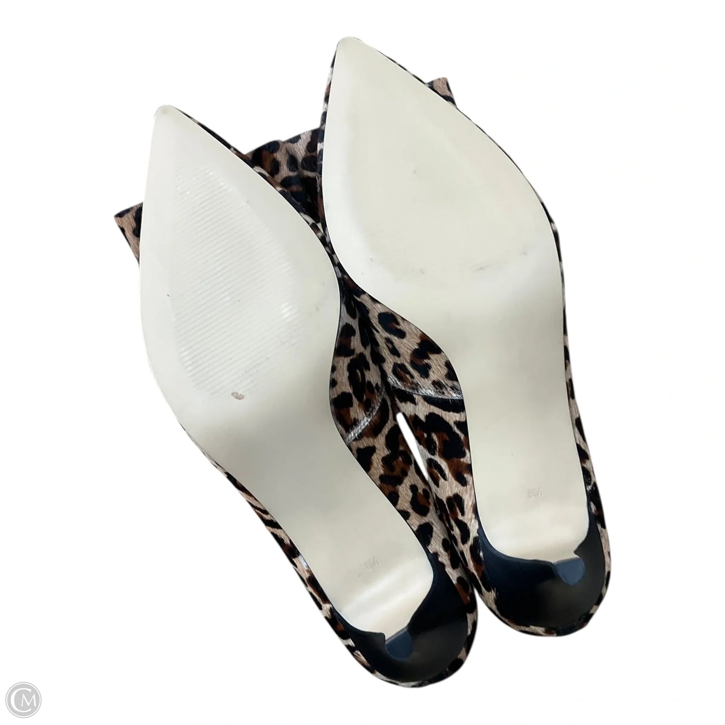 Shoes Heels Kitten By Talbots In Animal Print, Size: 8