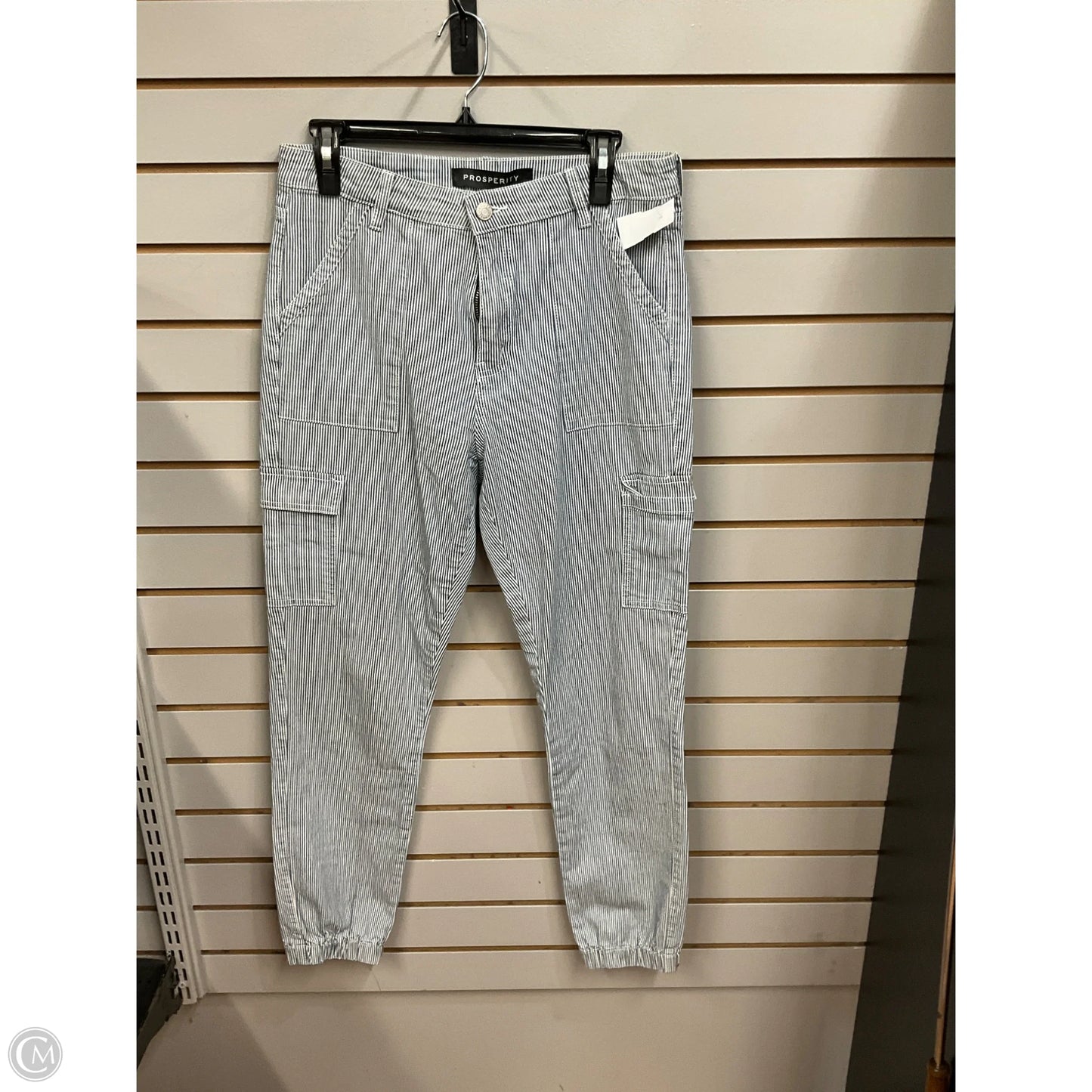 Pants Cargo & Utility By Clothes Mentor In Striped Pattern, Size: 10