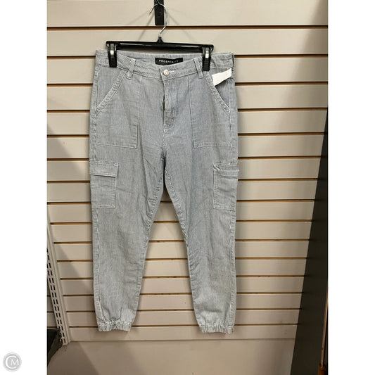 Pants Cargo & Utility By Clothes Mentor In Striped Pattern, Size: 10
