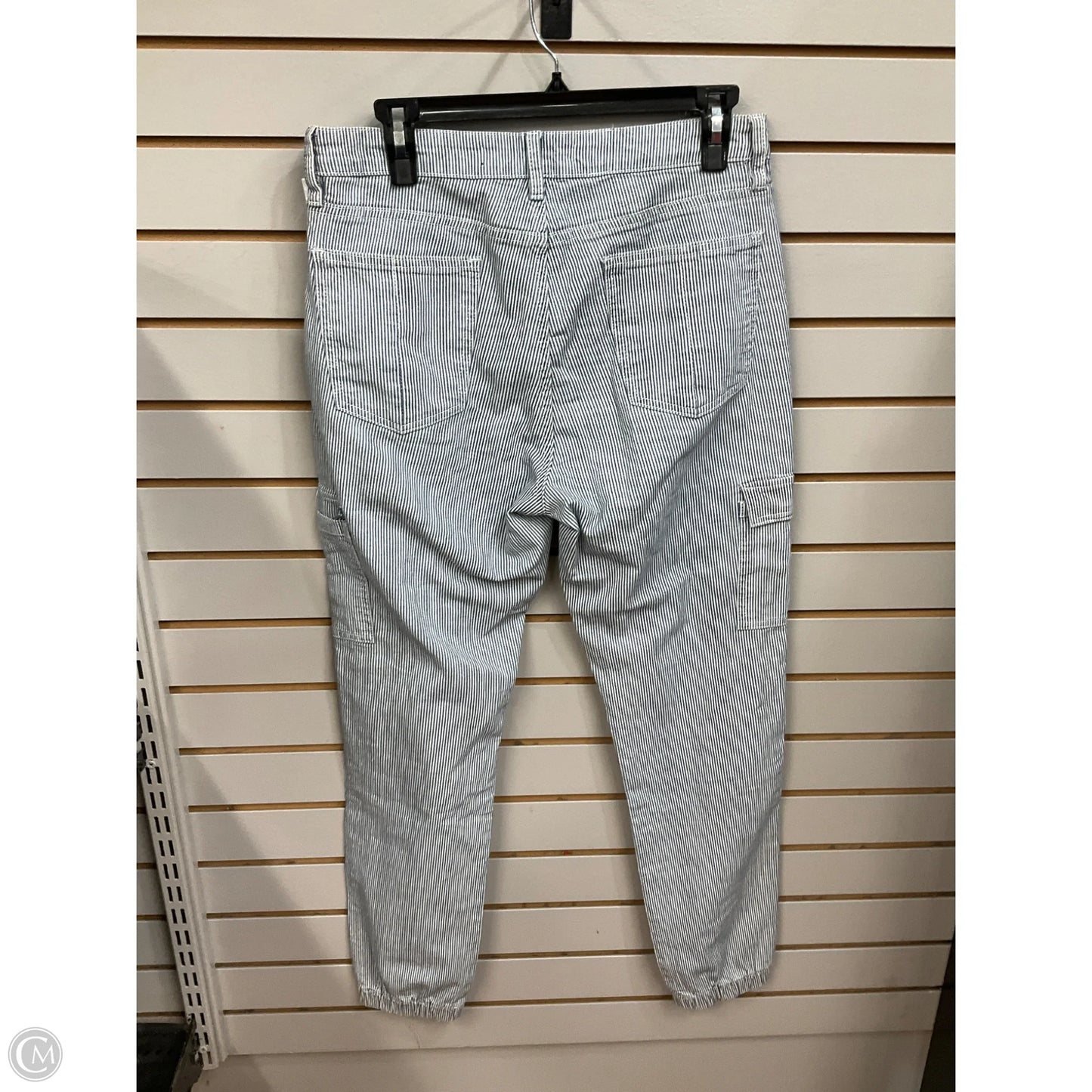 Pants Cargo & Utility By Clothes Mentor In Striped Pattern, Size: 10