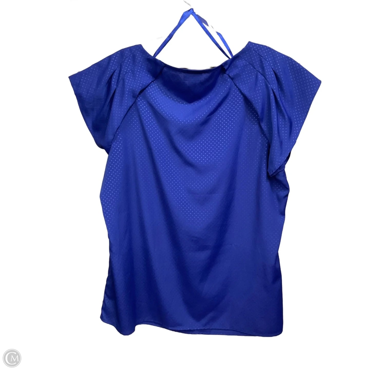 Top Short Sleeve By Mossimo In Blue, Size: Xxl