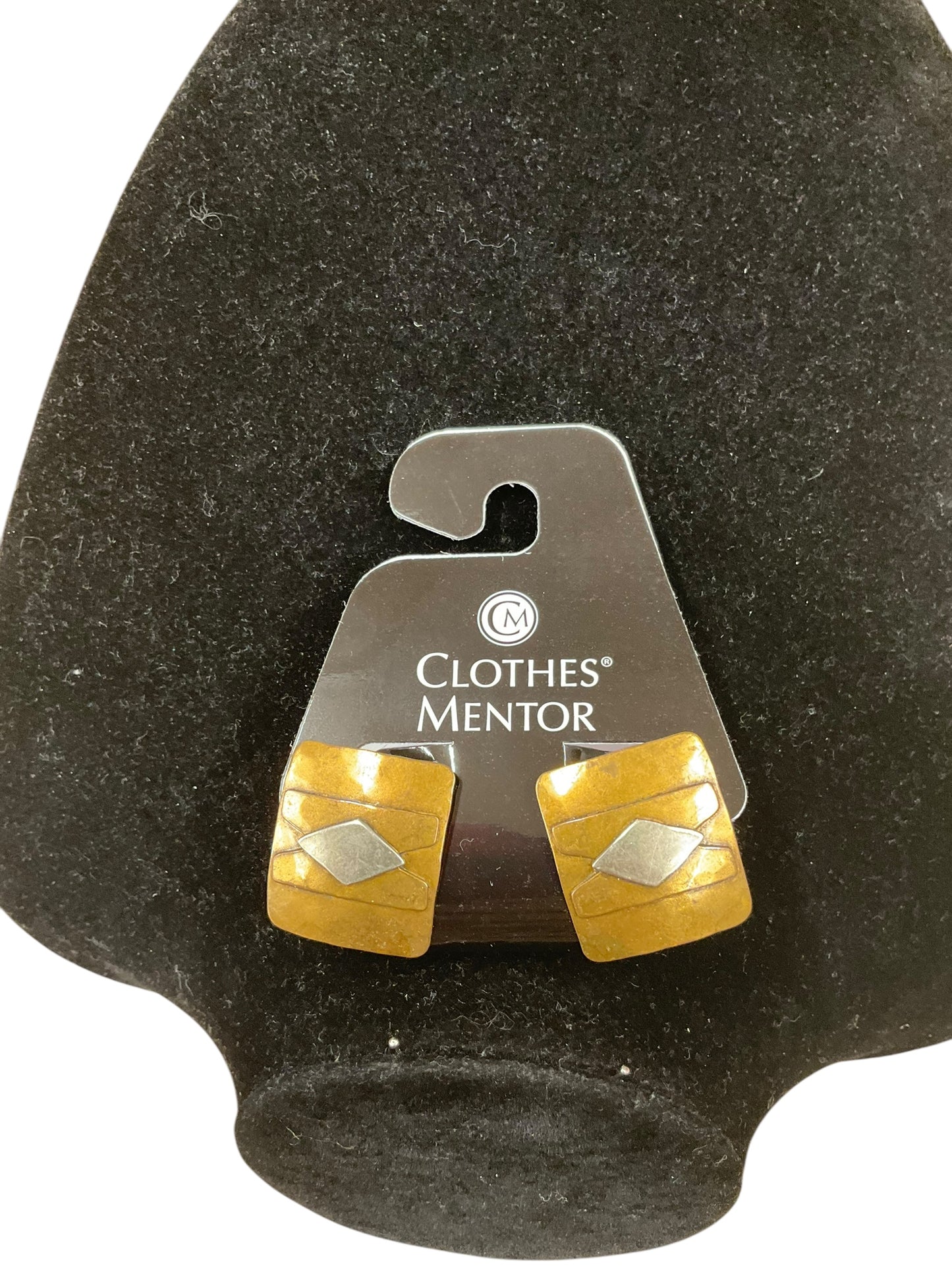 Earrings Clip By Clothes Mentor