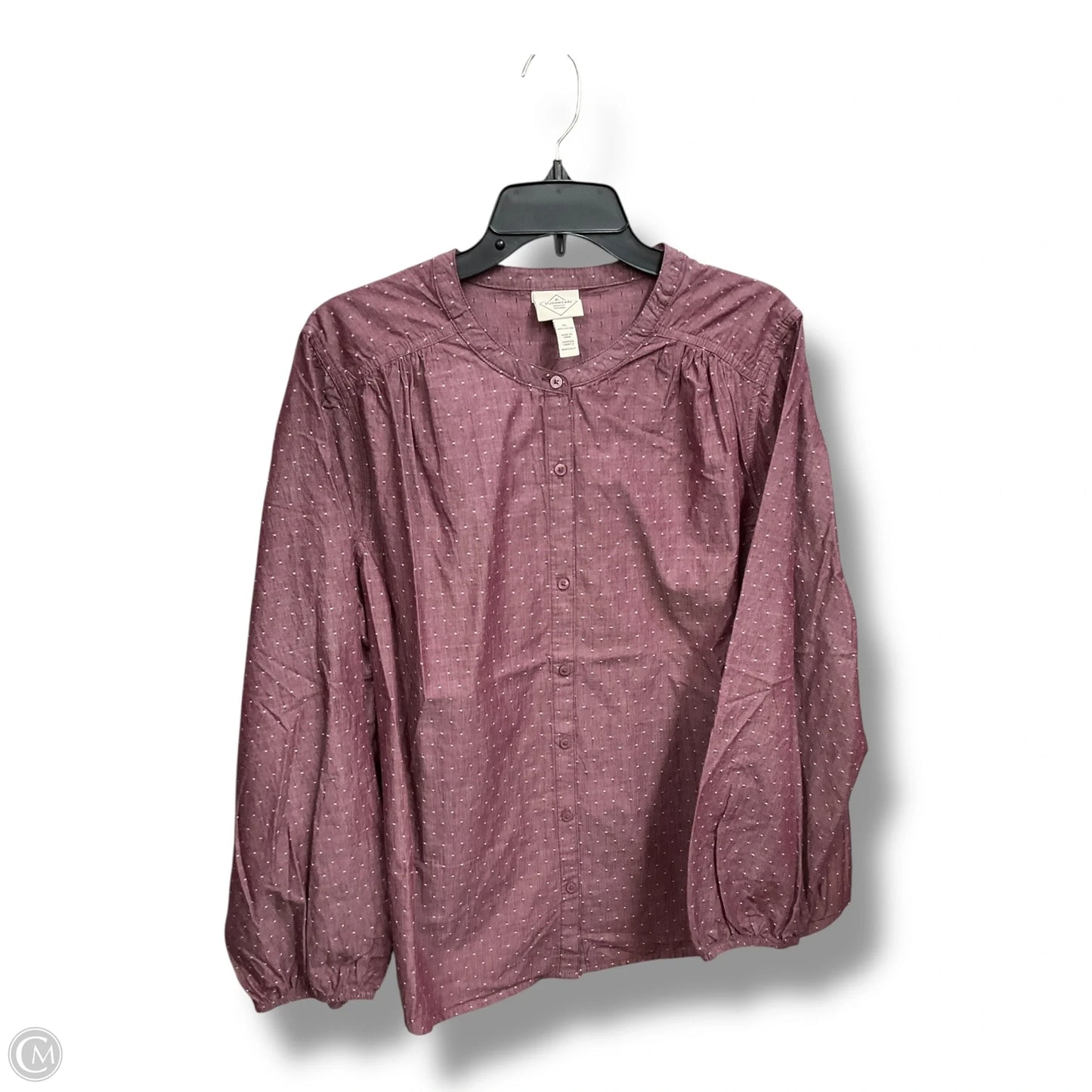 Blouse Long Sleeve By St Johns Bay In Purple, Size: Xl