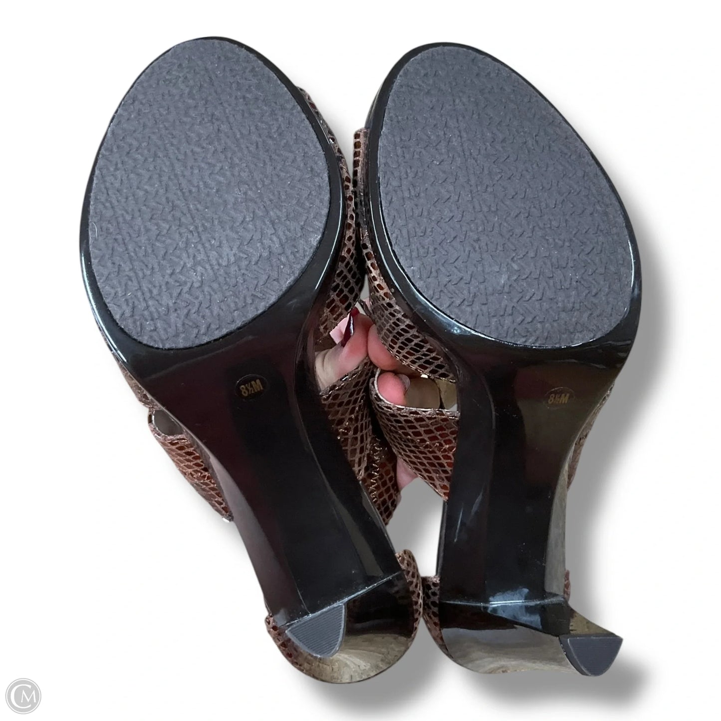 Sandals Heels Stiletto By Michael By Michael Kors In Animal Print, Size: 8.5