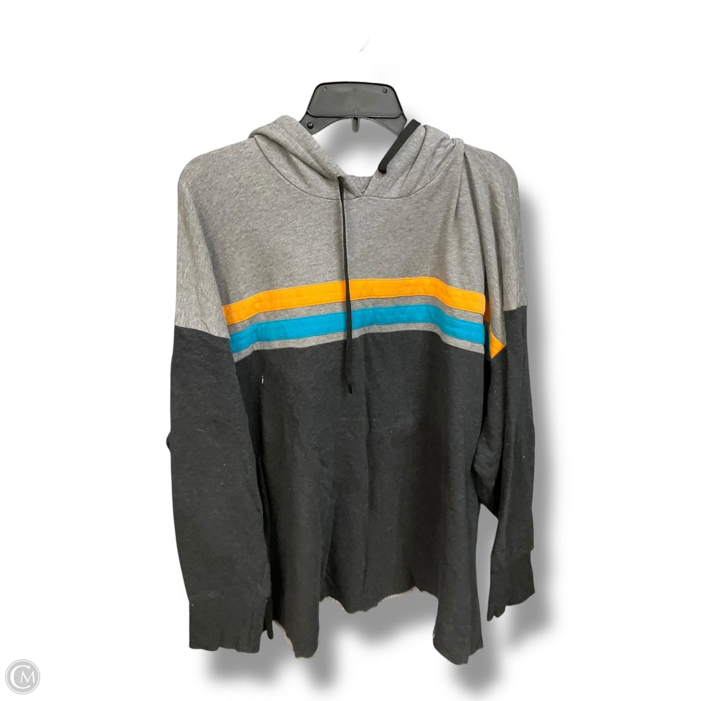 Sweatshirt Hoodie By Torrid In Grey, Size: 3x