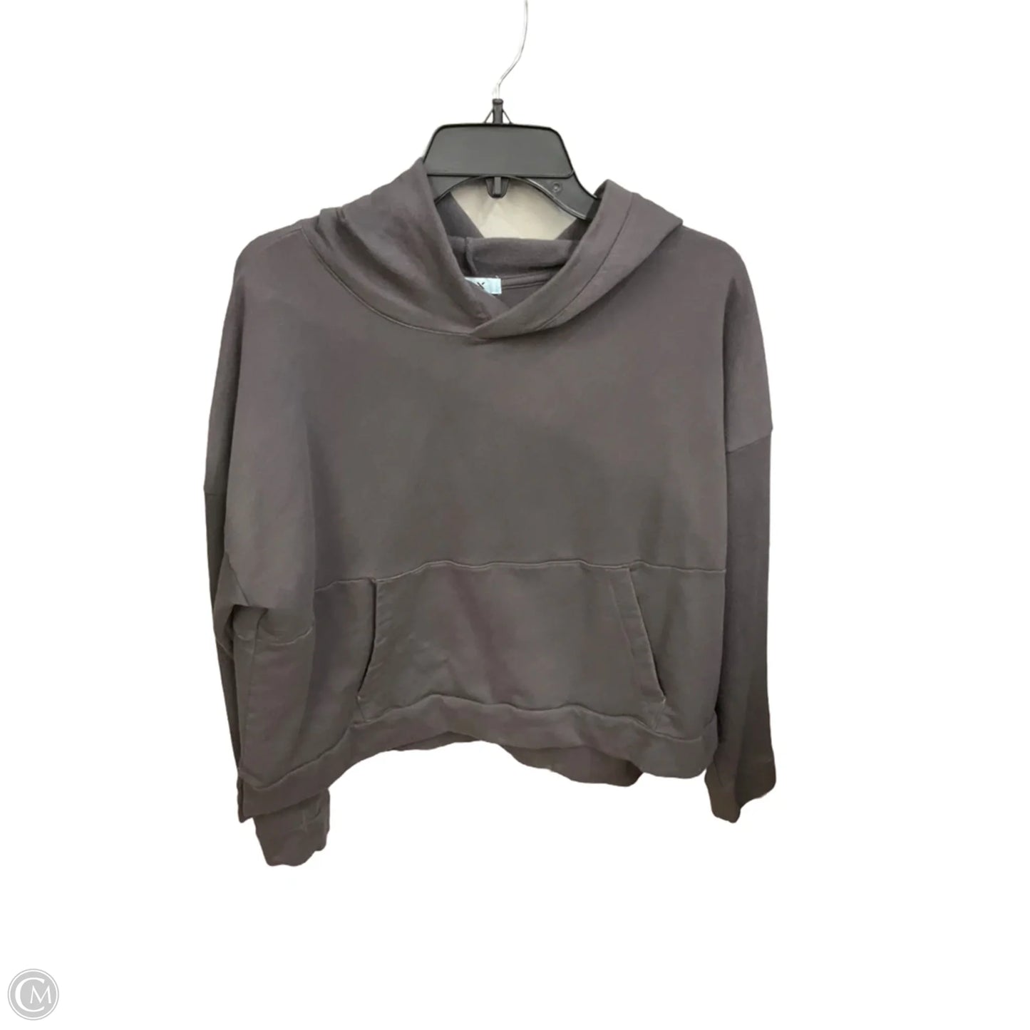 Athletic Sweatshirt Hoodie By Flx In Grey, Size: Xl