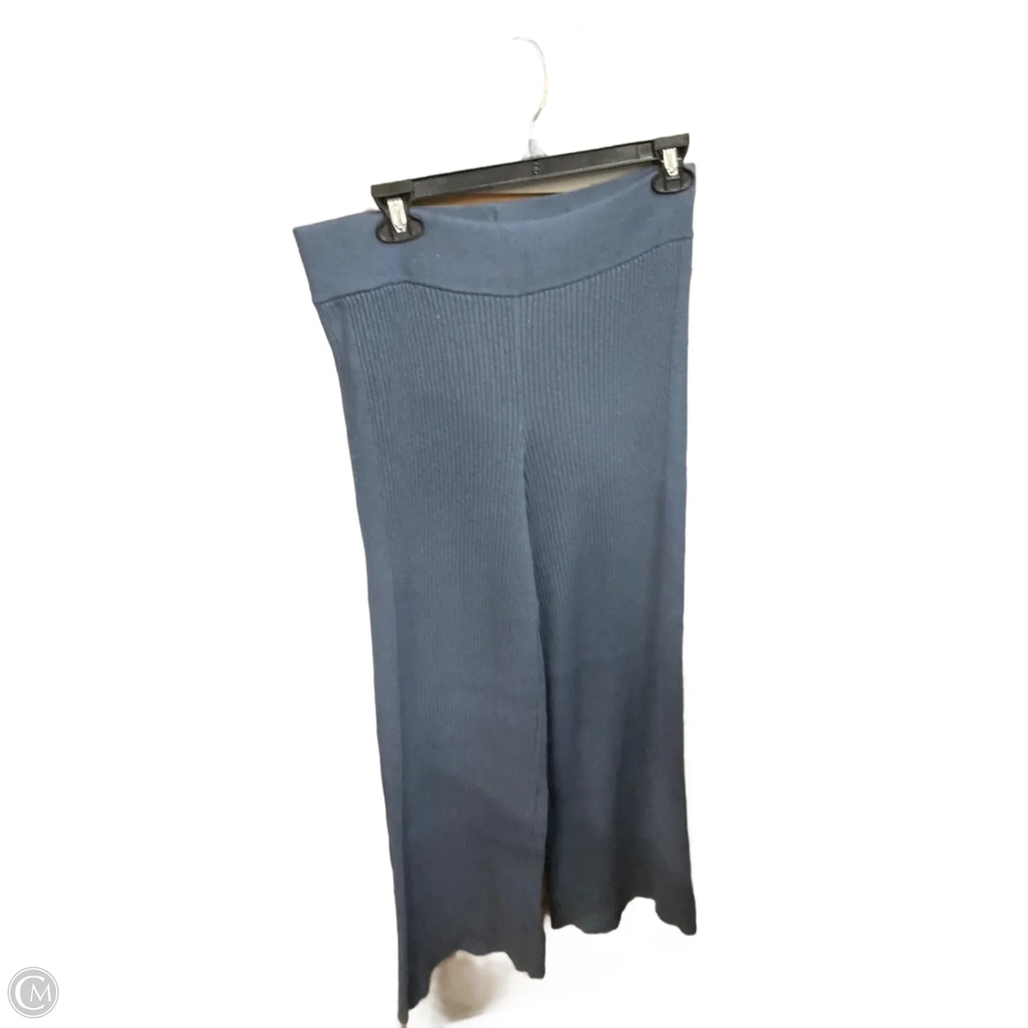 Pants Lounge By Aerie In Blue, Size: L