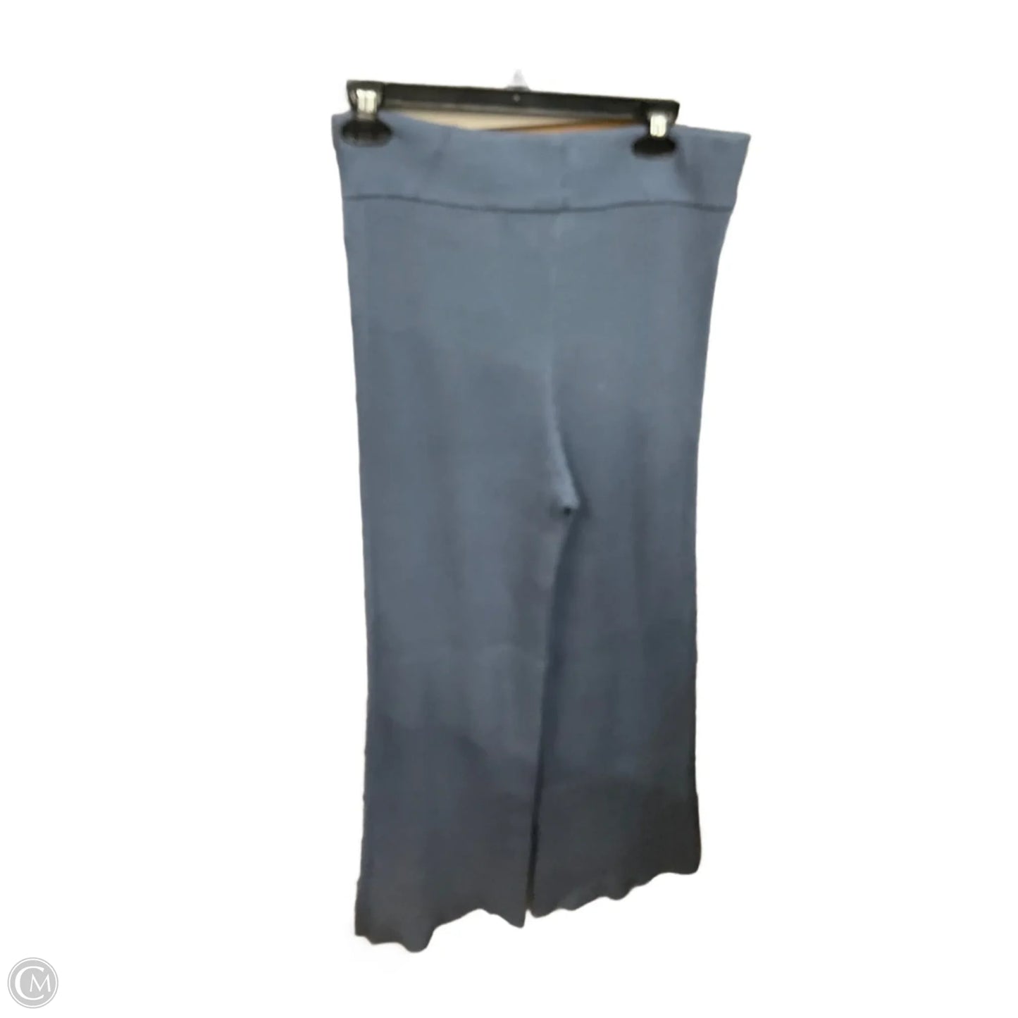 Pants Lounge By Aerie In Blue, Size: L