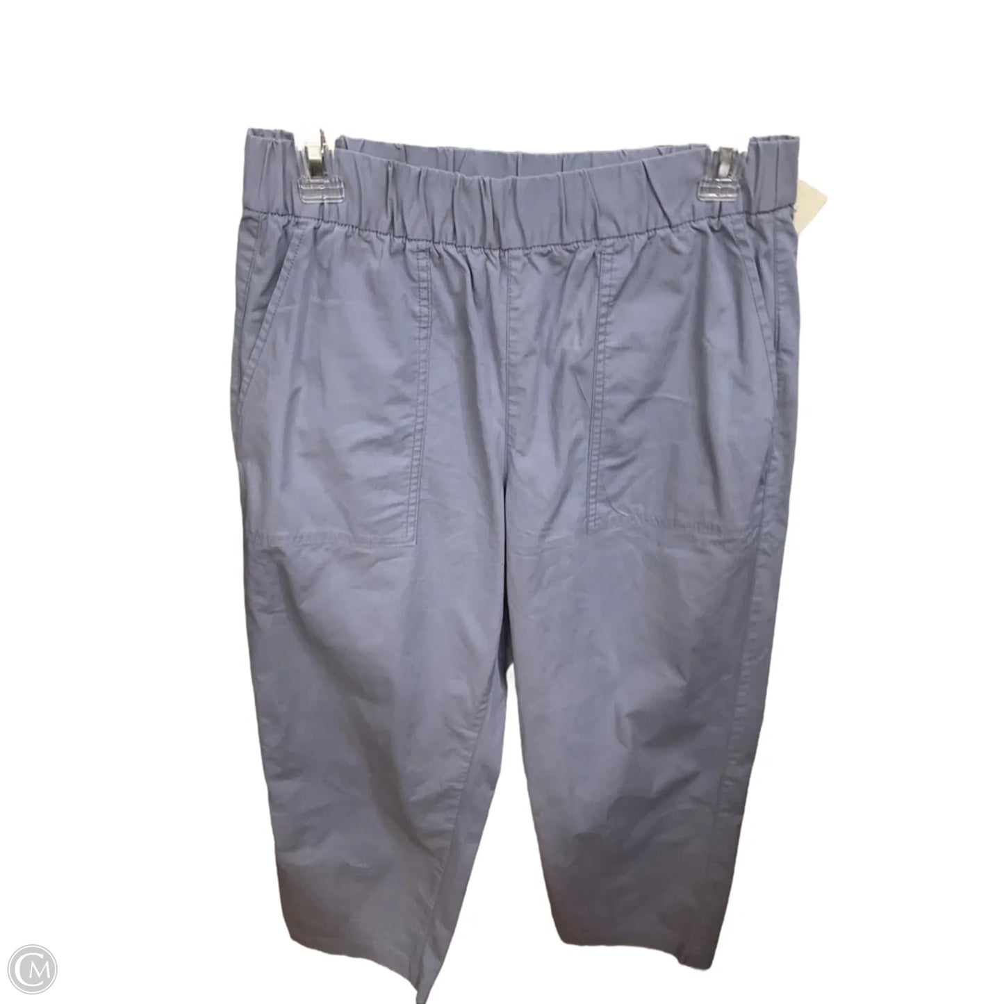 Pants Cargo & Utility By Gap In Purple, Size: 4
