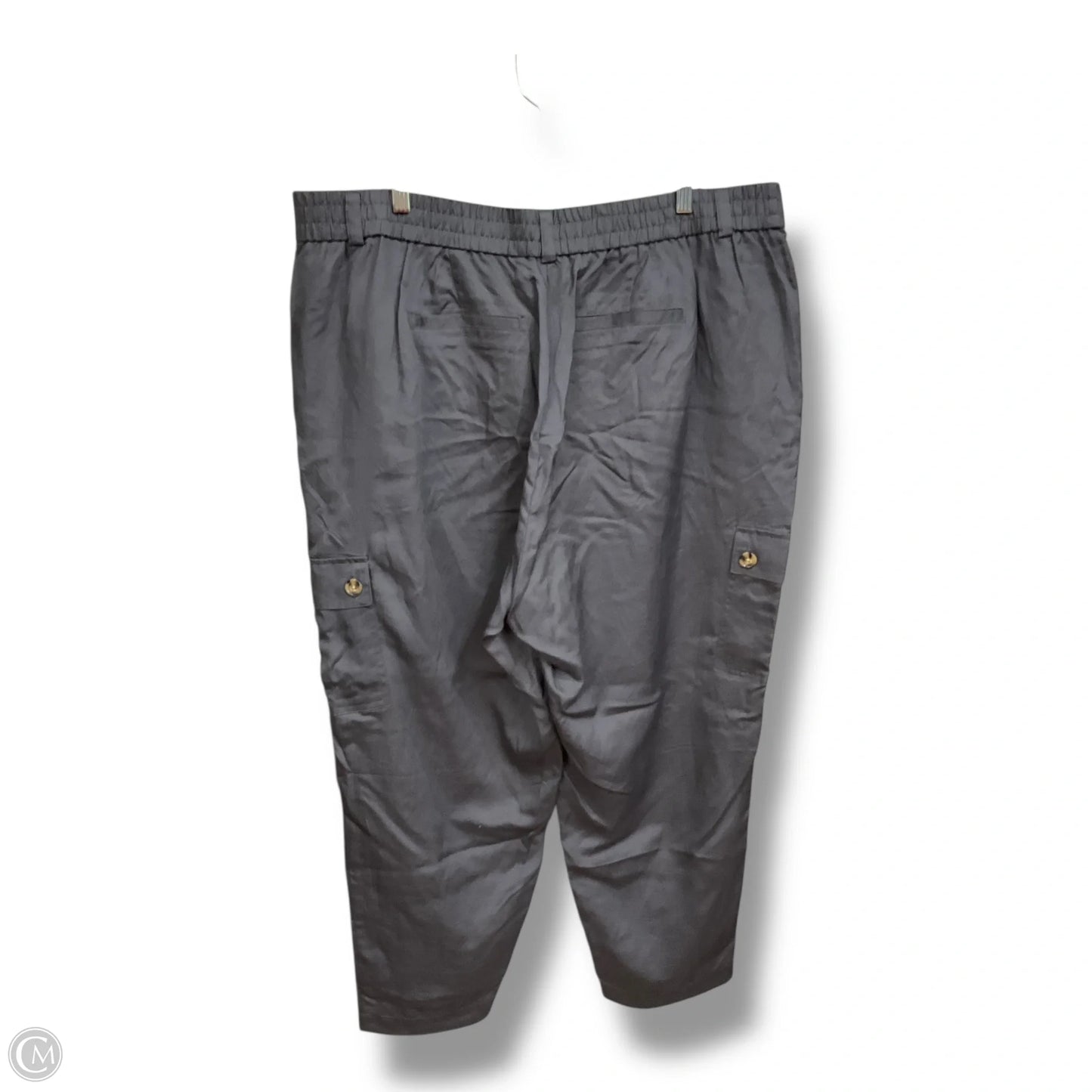 Pants Cargo & Utility By Torrid In Purple, Size: 20