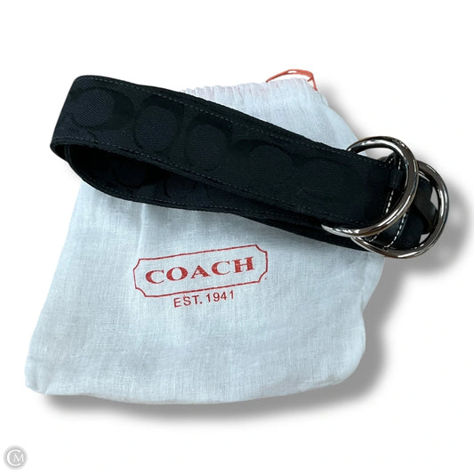 Belt Designer By Coach
