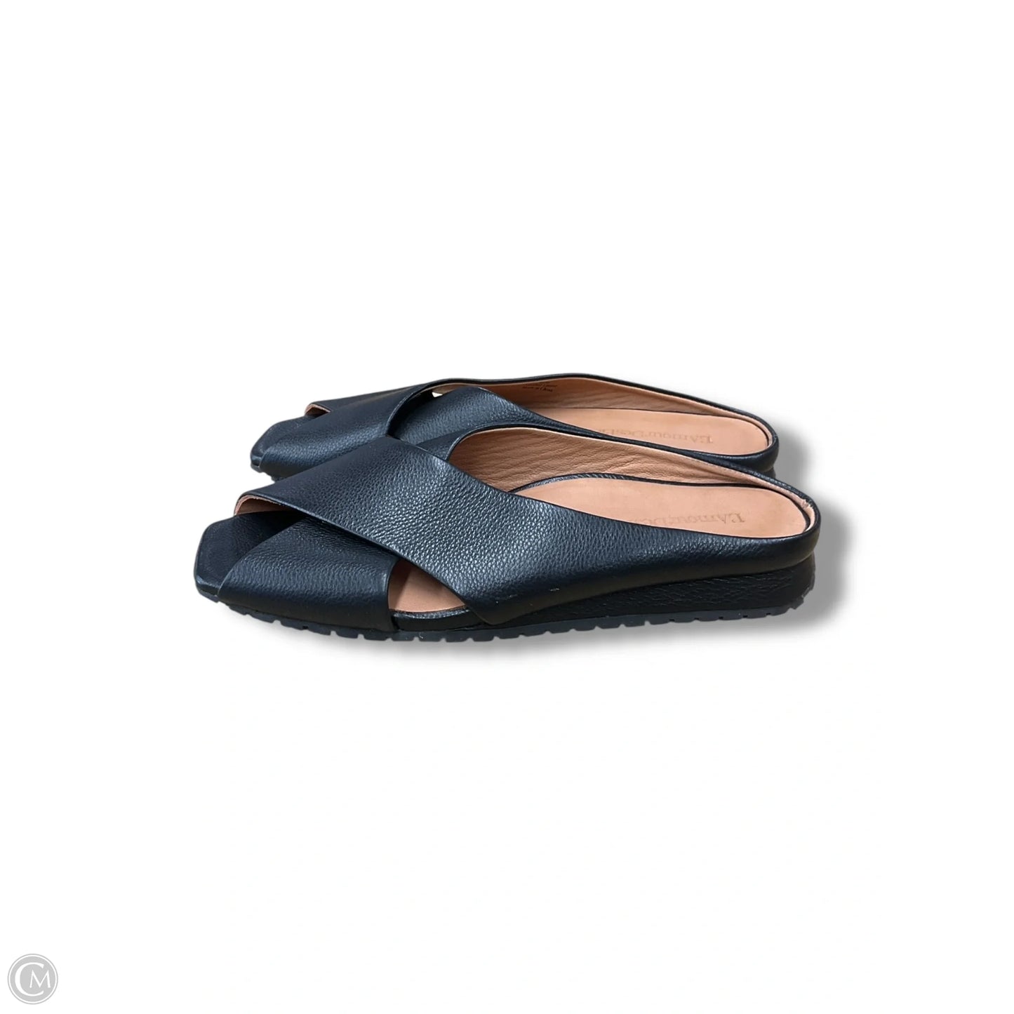 Sandals Flats By Cmc In Black, Size: 9.5