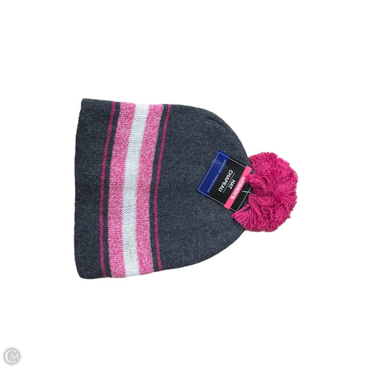 Hat Beanie By Clothes Mentor