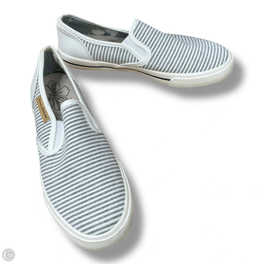 Shoes Flats By Tommy Bahama In Striped Pattern, Size: 7.5