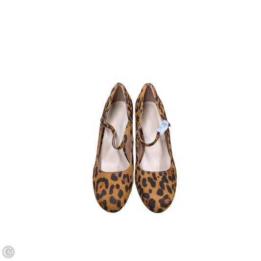 Shoes Heels Wedge By Cmc In Animal Print, Size: 8.5