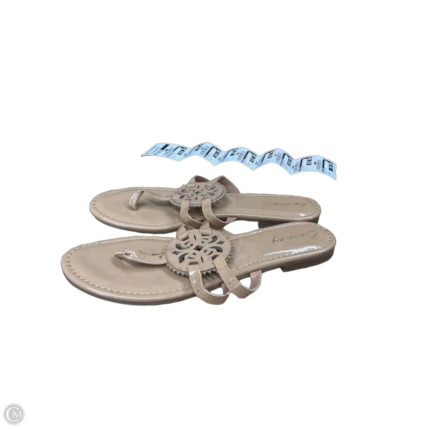 Sandals Flats By Circus By Sam Edelman In Tan, Size: 11