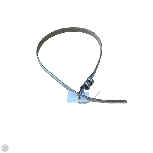 Belt By Loft