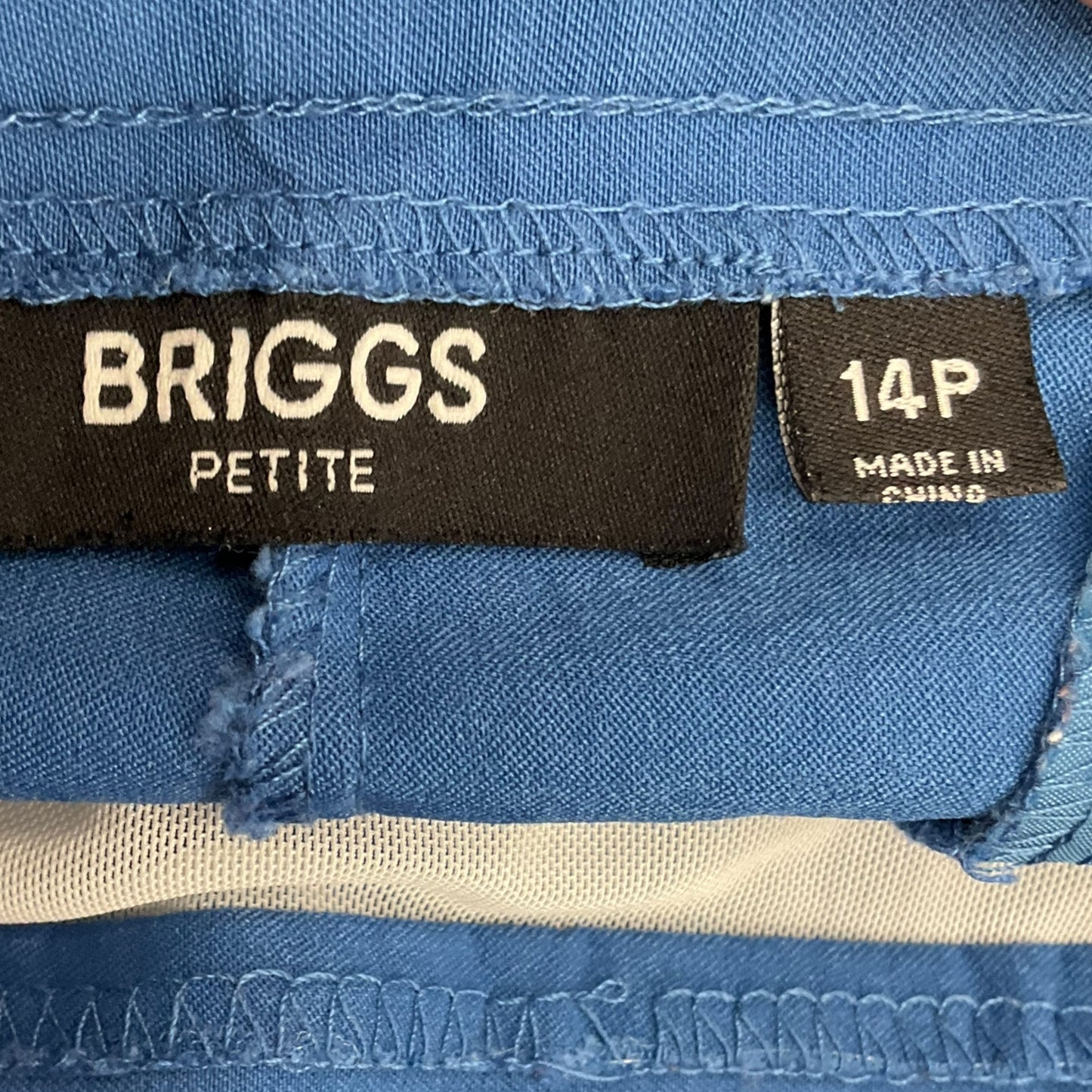 Shorts By Briggs  Size: 14petite