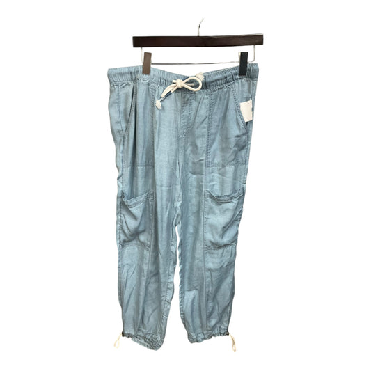 Pants Joggers By Nicole Miller In Blue, Size: L