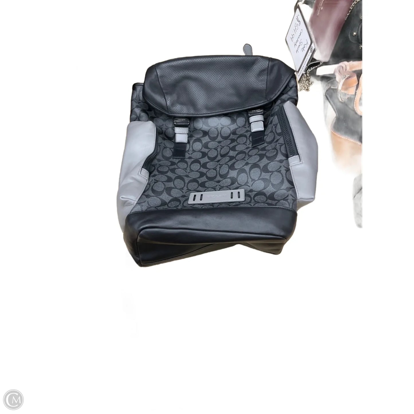 Backpack Designer By Coach, Size: Large