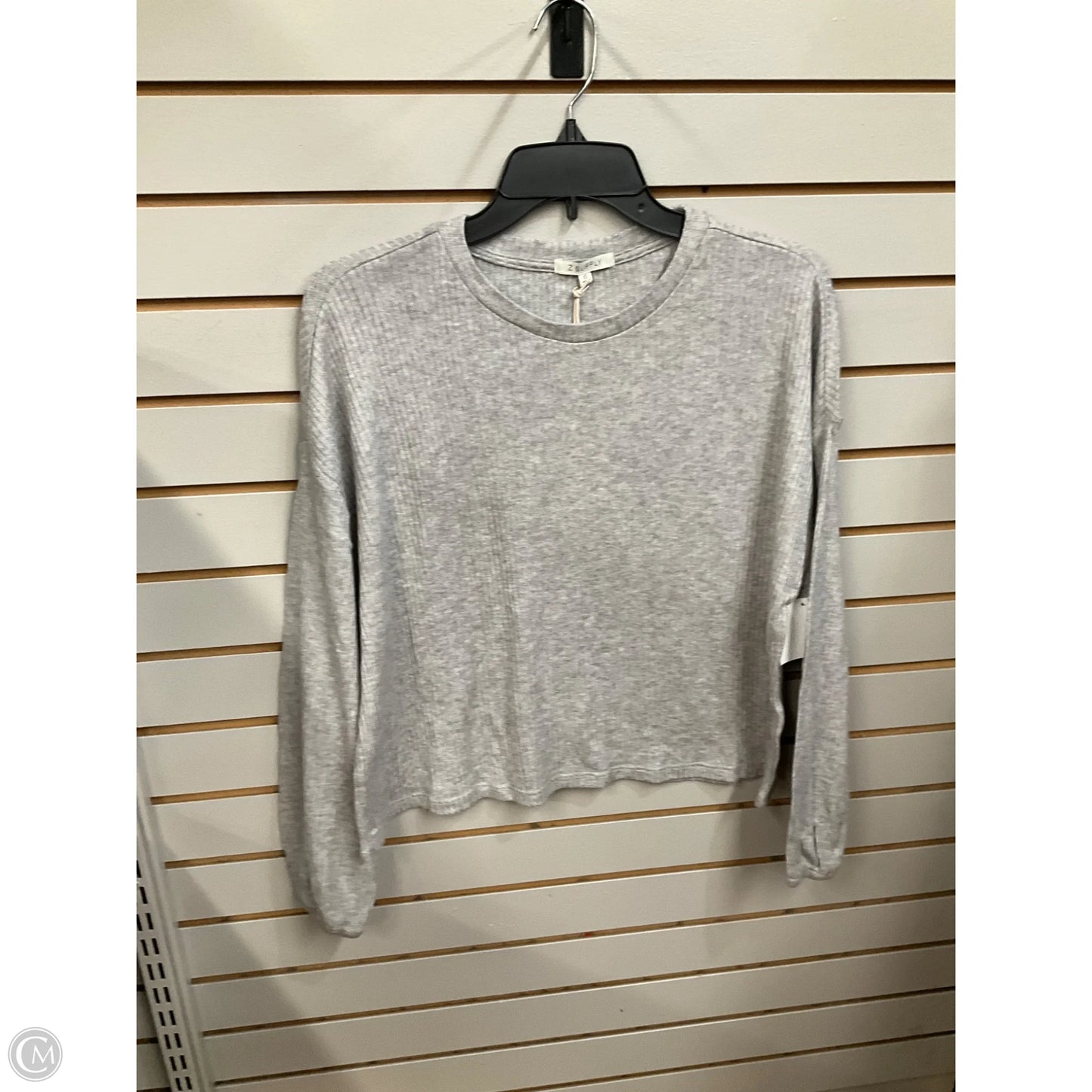 Top Long Sleeve By Z Supply In Grey, Size: Xs