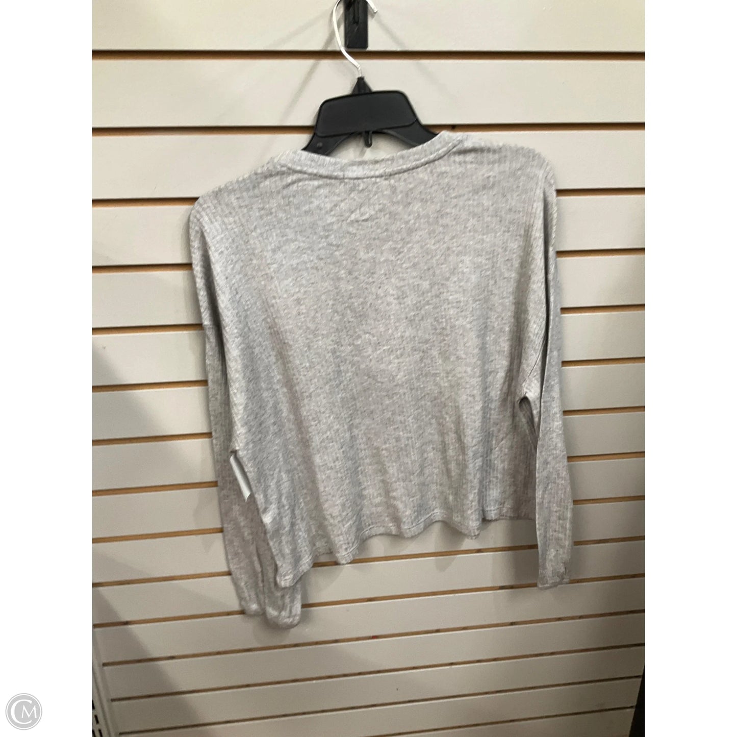 Top Long Sleeve By Z Supply In Grey, Size: Xs