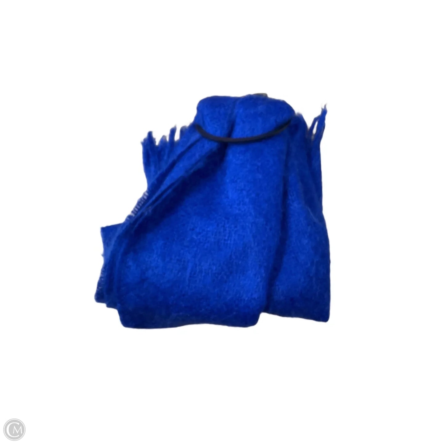 Scarf Winter By Clothes Mentor In Blue