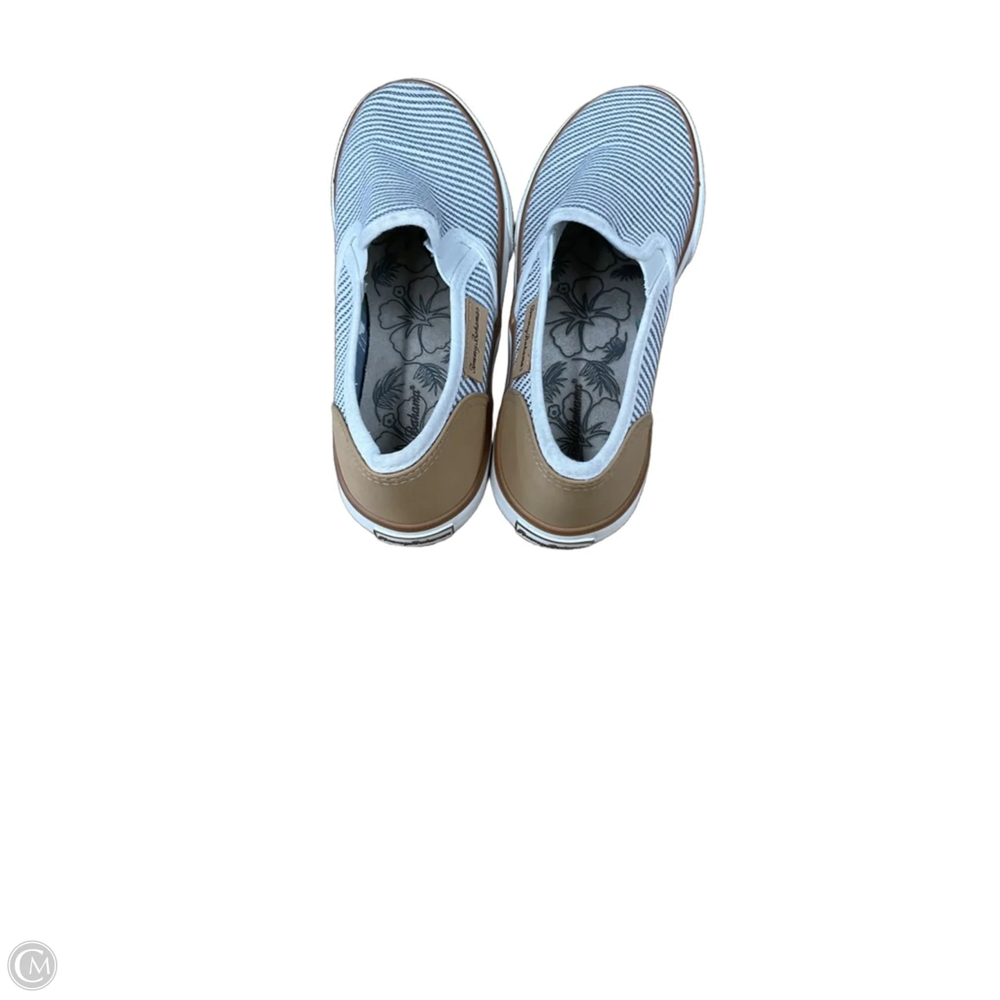 Shoes Sneakers By Tommy Bahama In Striped Pattern, Size: 6