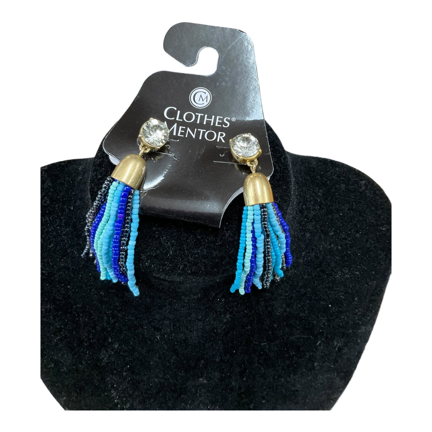 Earrings Dangle/drop Clothes Mentor