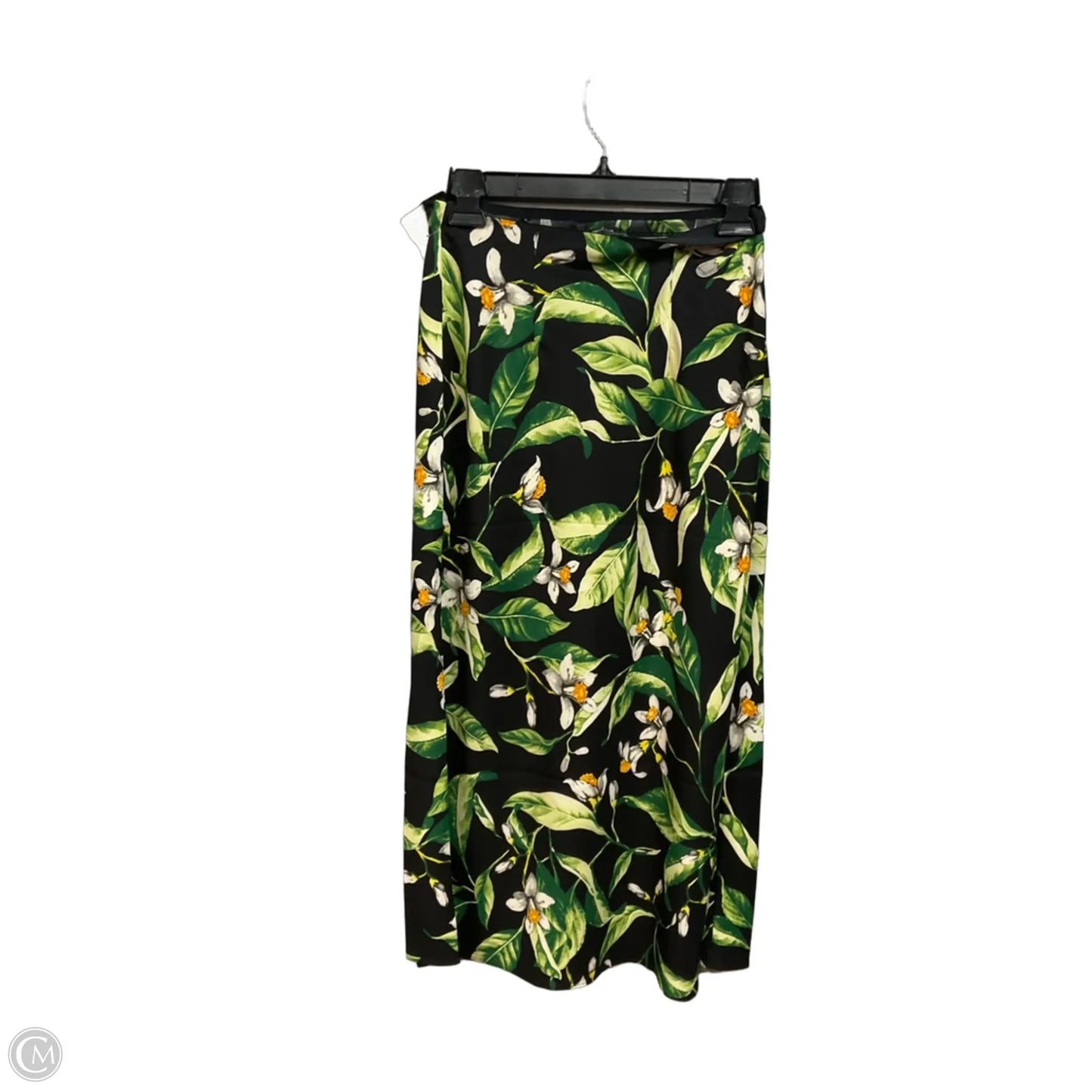 Skirt Maxi By Express In Black & Green, Size: 2