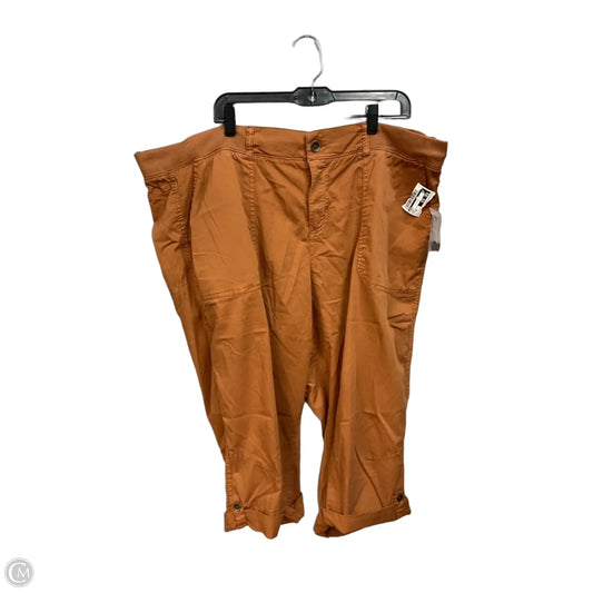Capris By Evri In Brown, Size: 20
