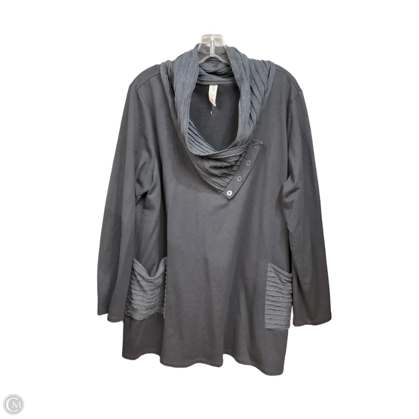 Tunic Long Sleeve By Chalet In Grey, Size: 1x