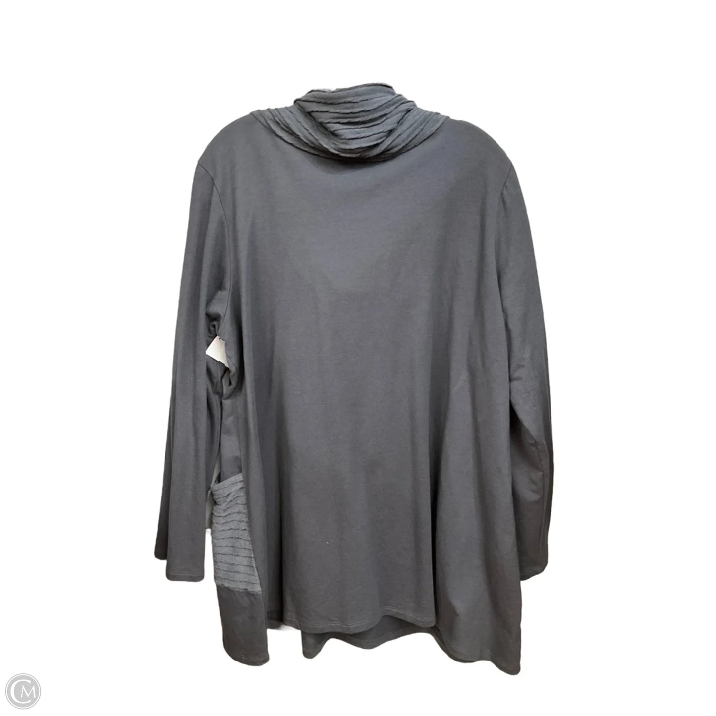 Tunic Long Sleeve By Chalet In Grey, Size: 1x