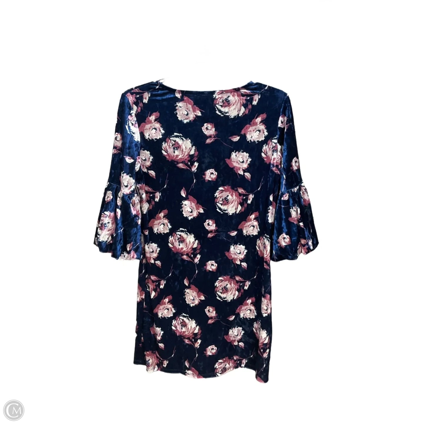 Dress Casual Short By Emerald In Floral Print, Size: S